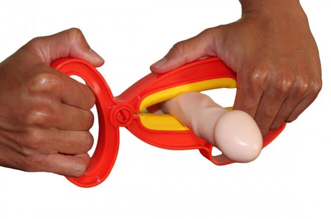 penis