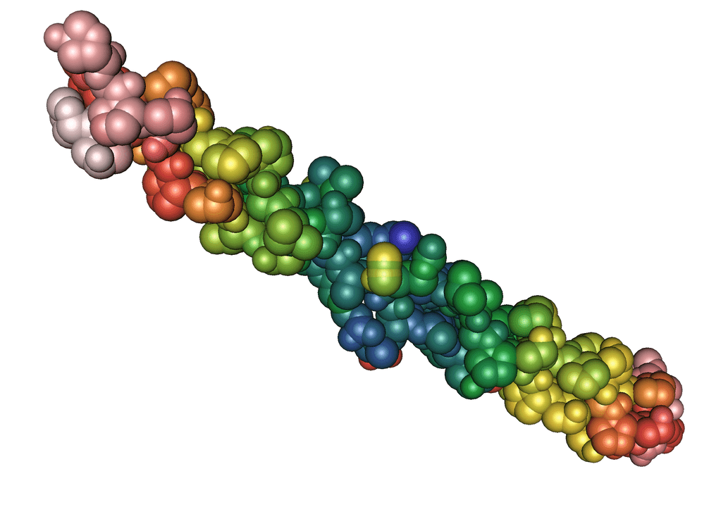 proteina elastina din gelul Pulsero Gel